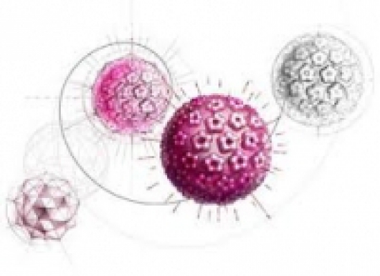วัคซีนป้องกันมะเร็งปากมดลูก HPV